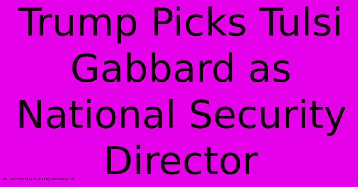 Trump Picks Tulsi Gabbard As National Security Director 