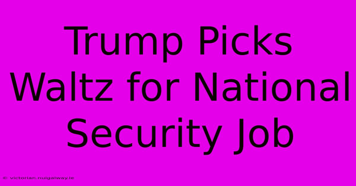 Trump Picks Waltz For National Security Job