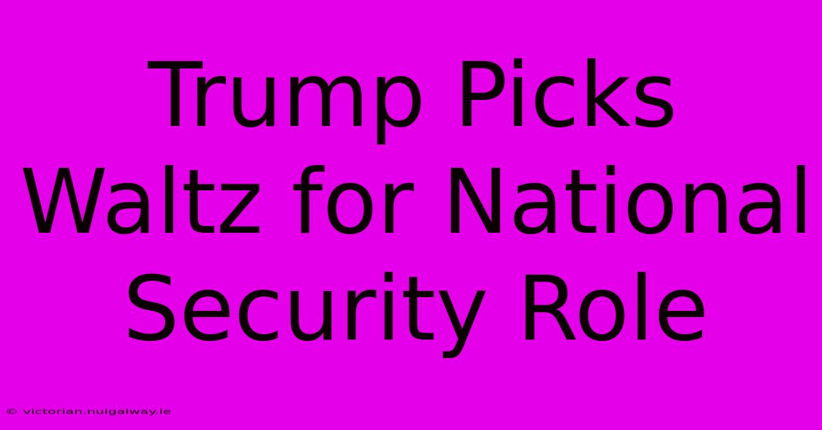 Trump Picks Waltz For National Security Role 