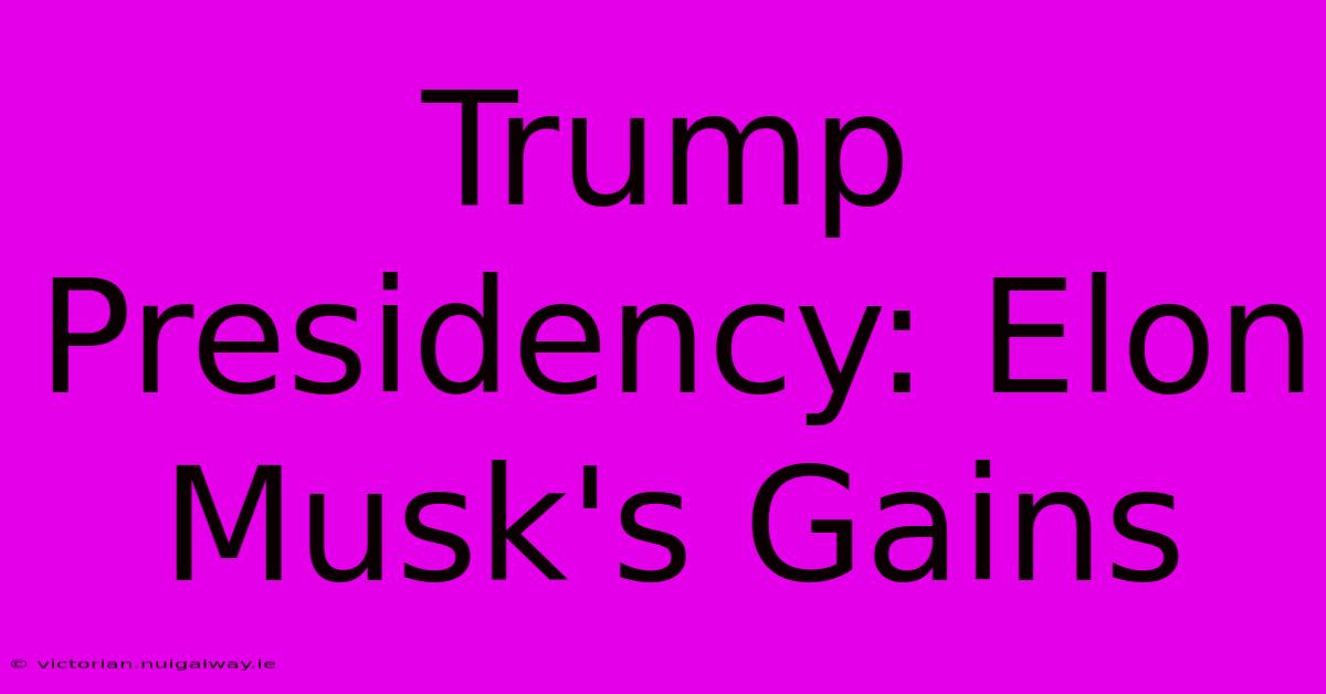 Trump Presidency: Elon Musk's Gains