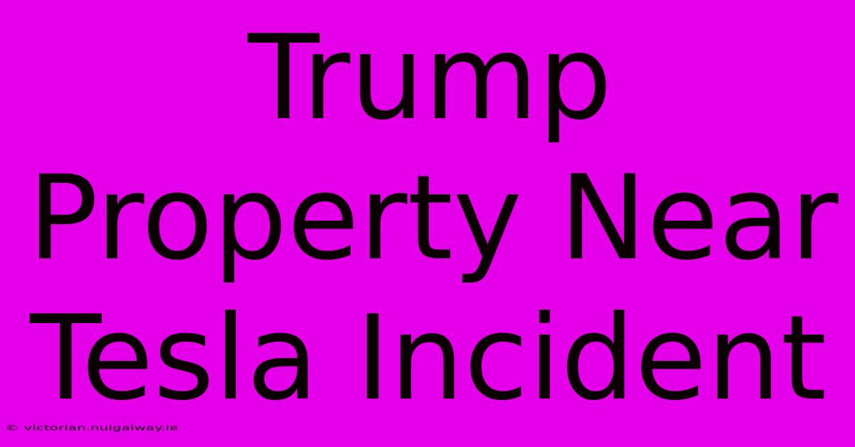 Trump Property Near Tesla Incident