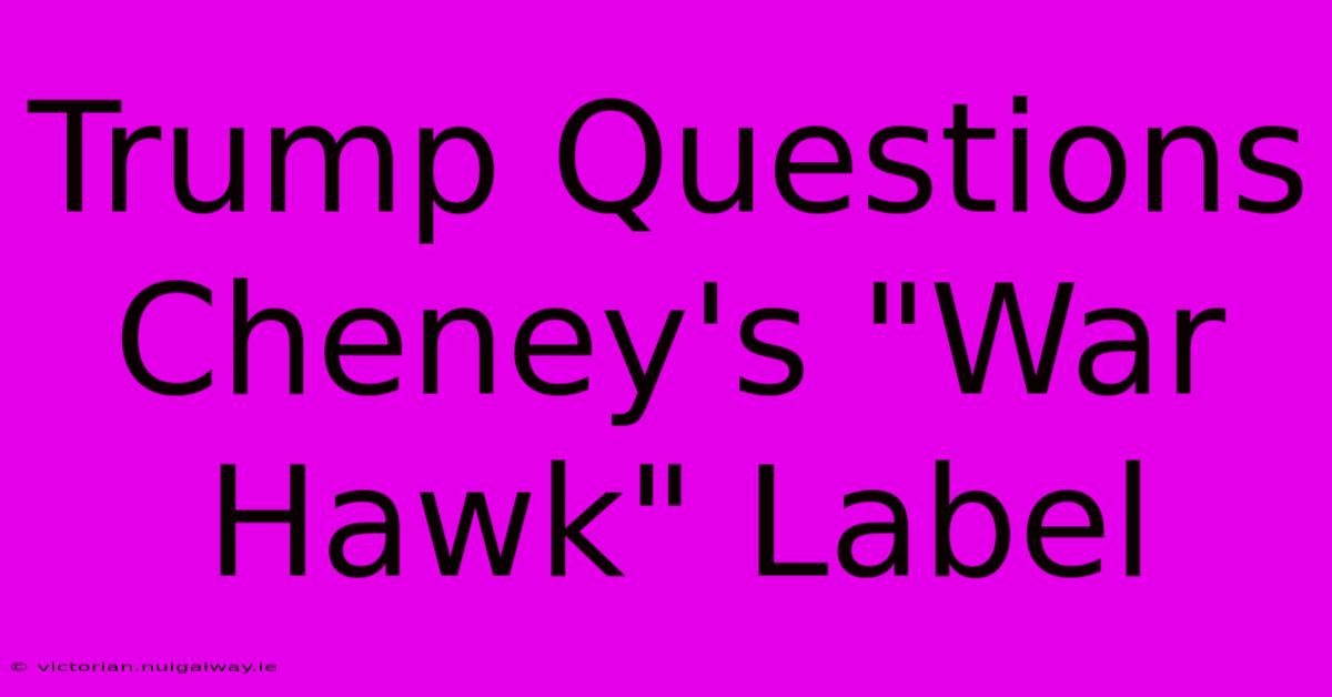 Trump Questions Cheney's 