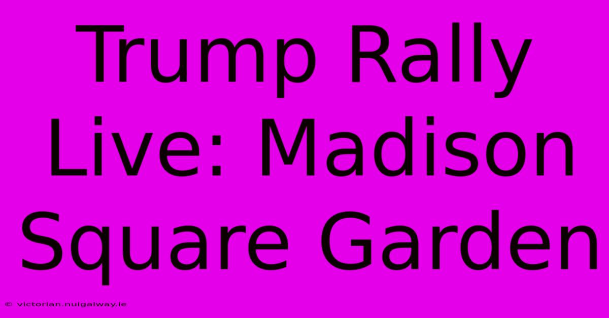 Trump Rally Live: Madison Square Garden