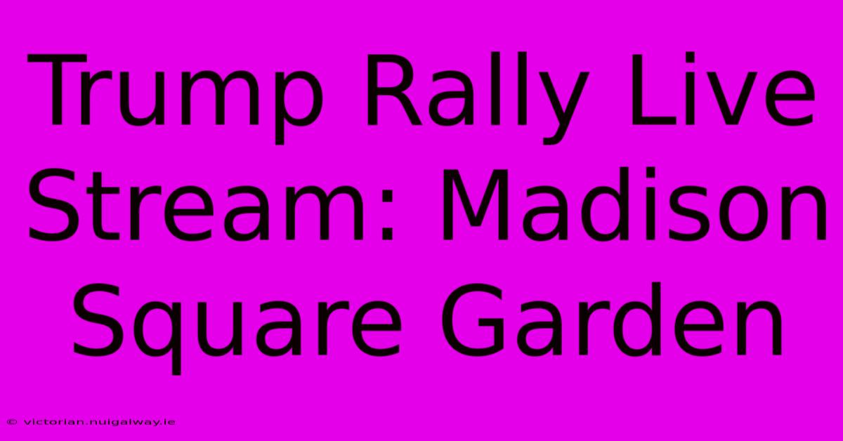 Trump Rally Live Stream: Madison Square Garden 