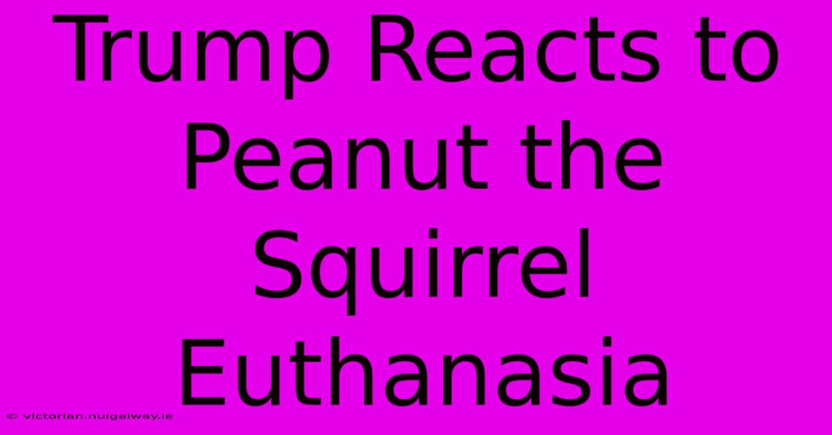 Trump Reacts To Peanut The Squirrel Euthanasia