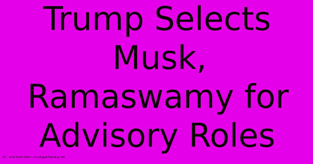 Trump Selects Musk, Ramaswamy For Advisory Roles 