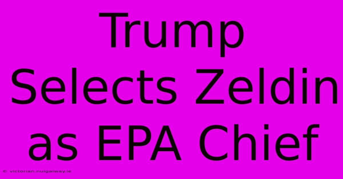 Trump Selects Zeldin As EPA Chief 