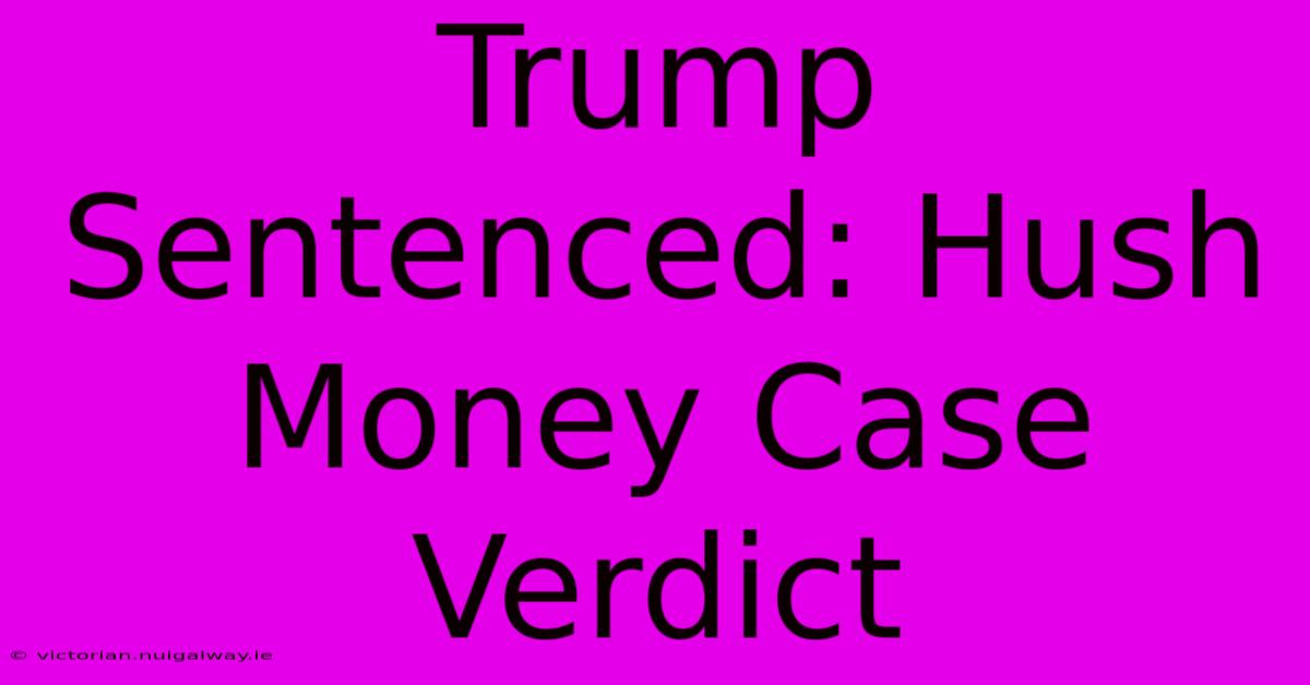 Trump Sentenced: Hush Money Case Verdict