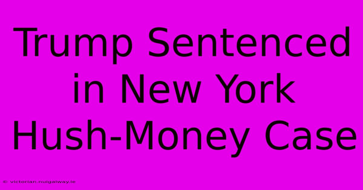 Trump Sentenced In New York Hush-Money Case