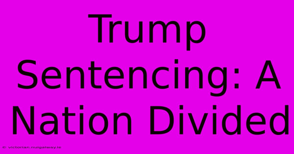 Trump Sentencing: A Nation Divided