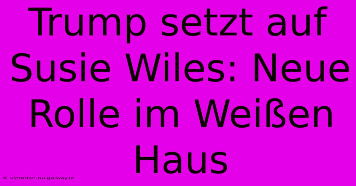 Trump Setzt Auf Susie Wiles: Neue Rolle Im Weißen Haus 