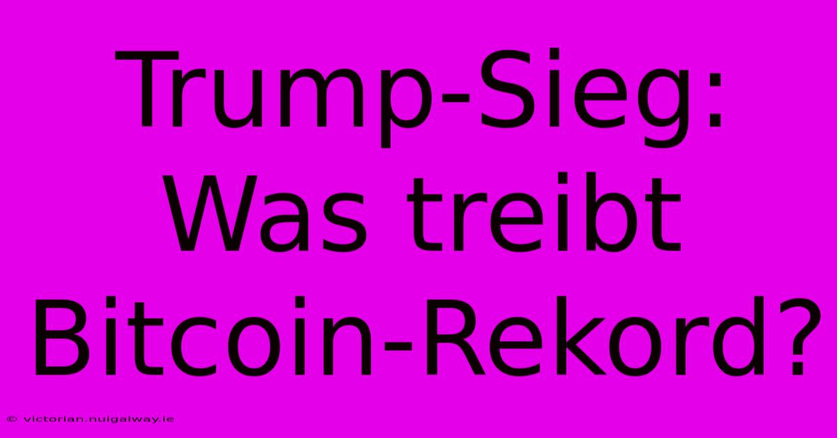 Trump-Sieg: Was Treibt Bitcoin-Rekord?