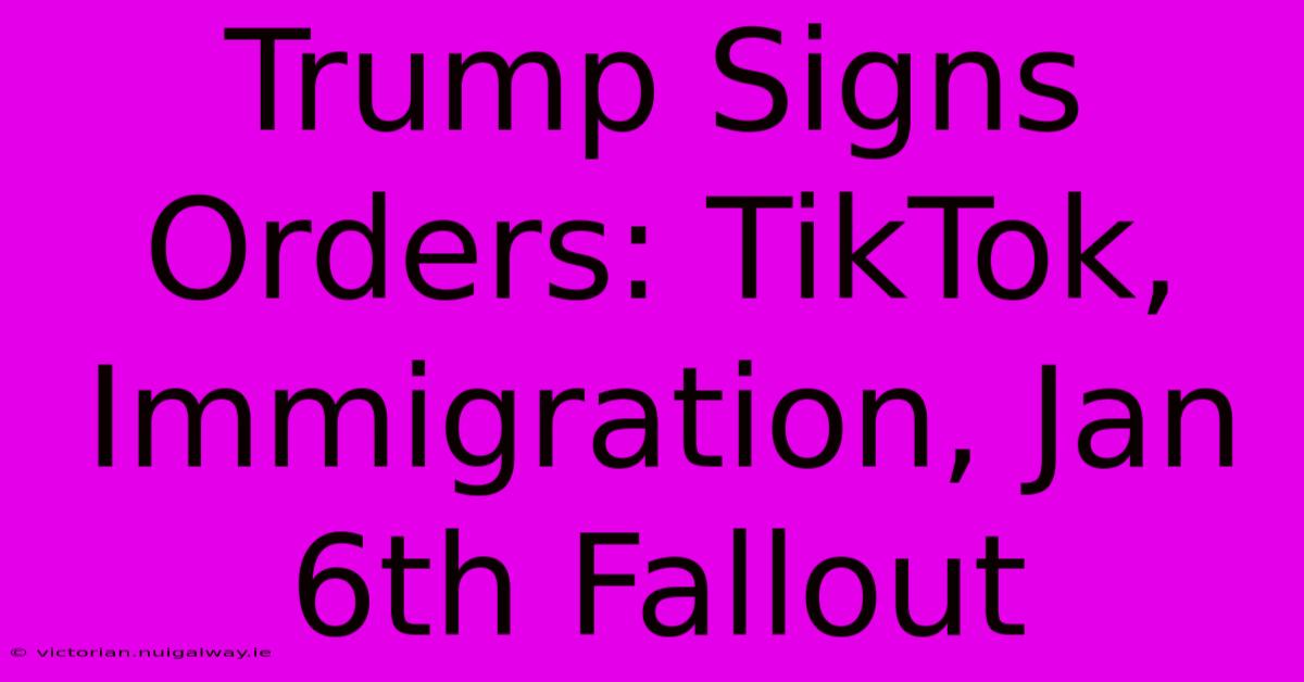 Trump Signs Orders: TikTok, Immigration, Jan 6th Fallout