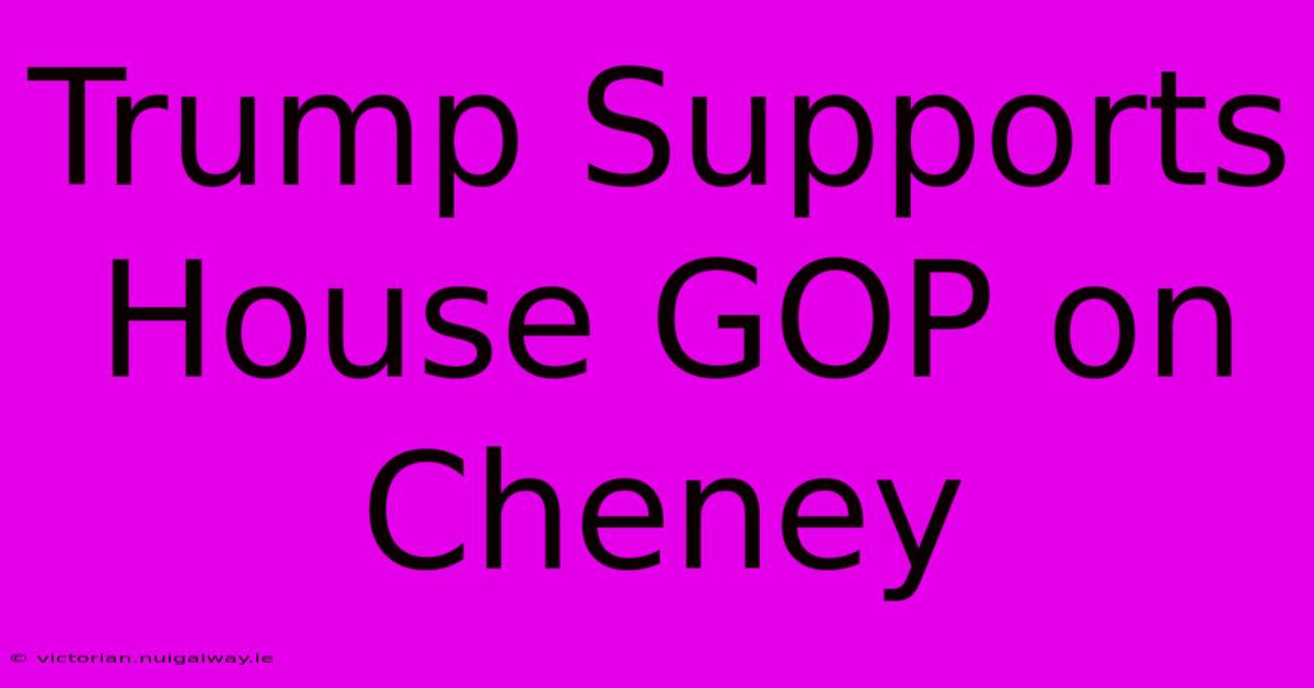 Trump Supports House GOP On Cheney