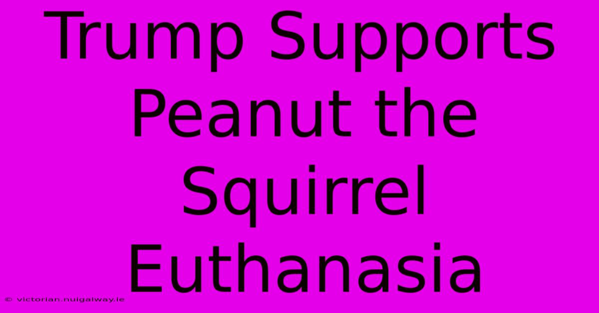 Trump Supports Peanut The Squirrel Euthanasia 