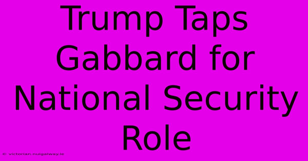 Trump Taps Gabbard For National Security Role