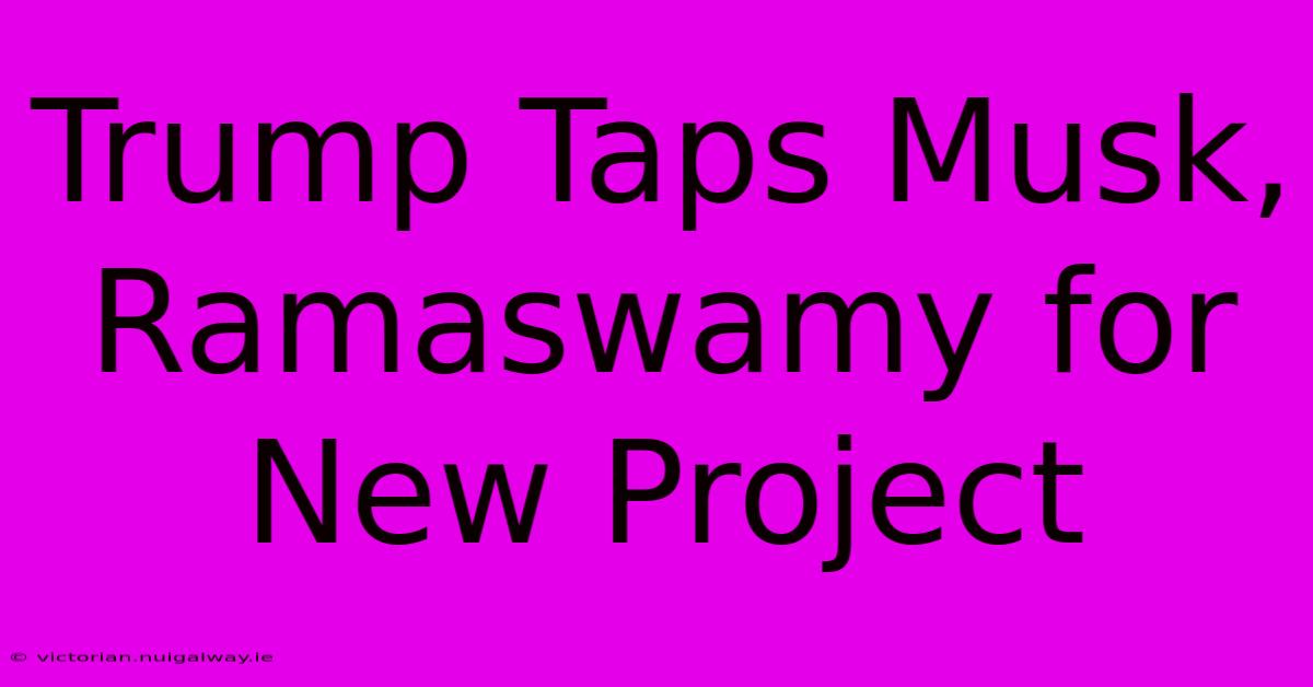 Trump Taps Musk, Ramaswamy For New Project 