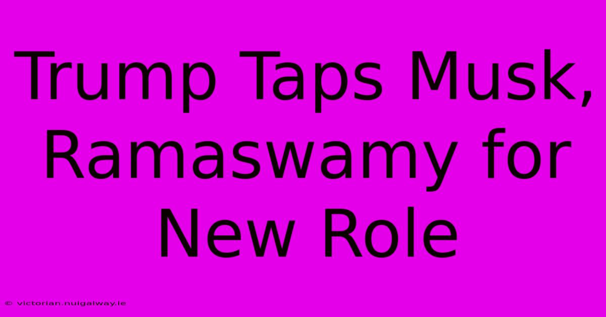 Trump Taps Musk, Ramaswamy For New Role