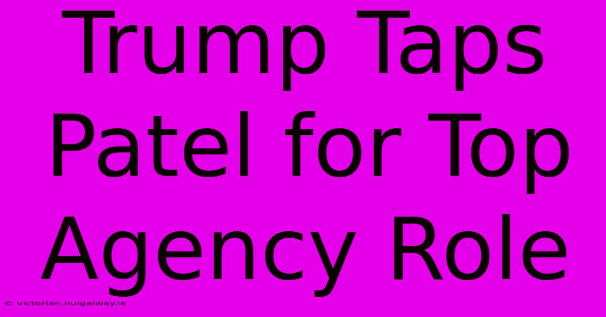 Trump Taps Patel For Top Agency Role