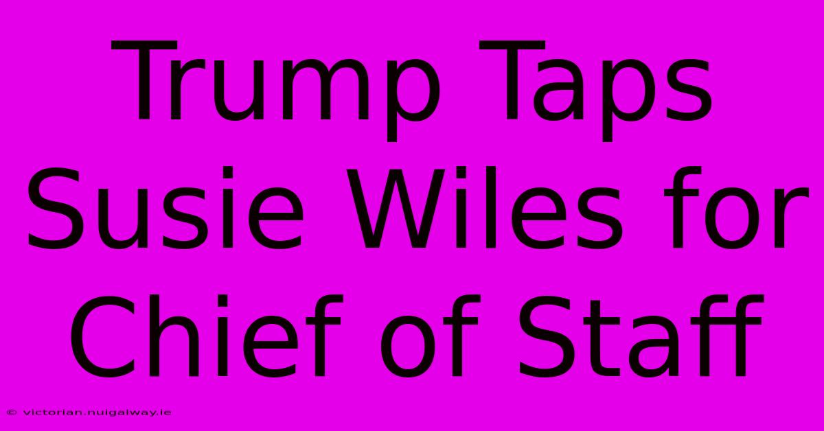 Trump Taps Susie Wiles For Chief Of Staff