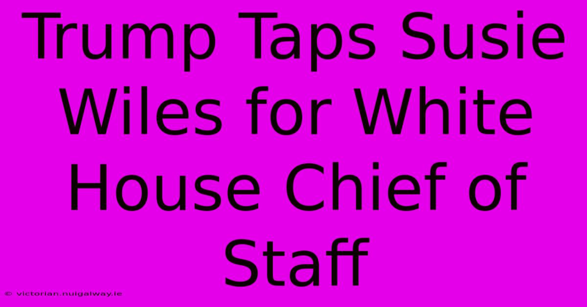 Trump Taps Susie Wiles For White House Chief Of Staff