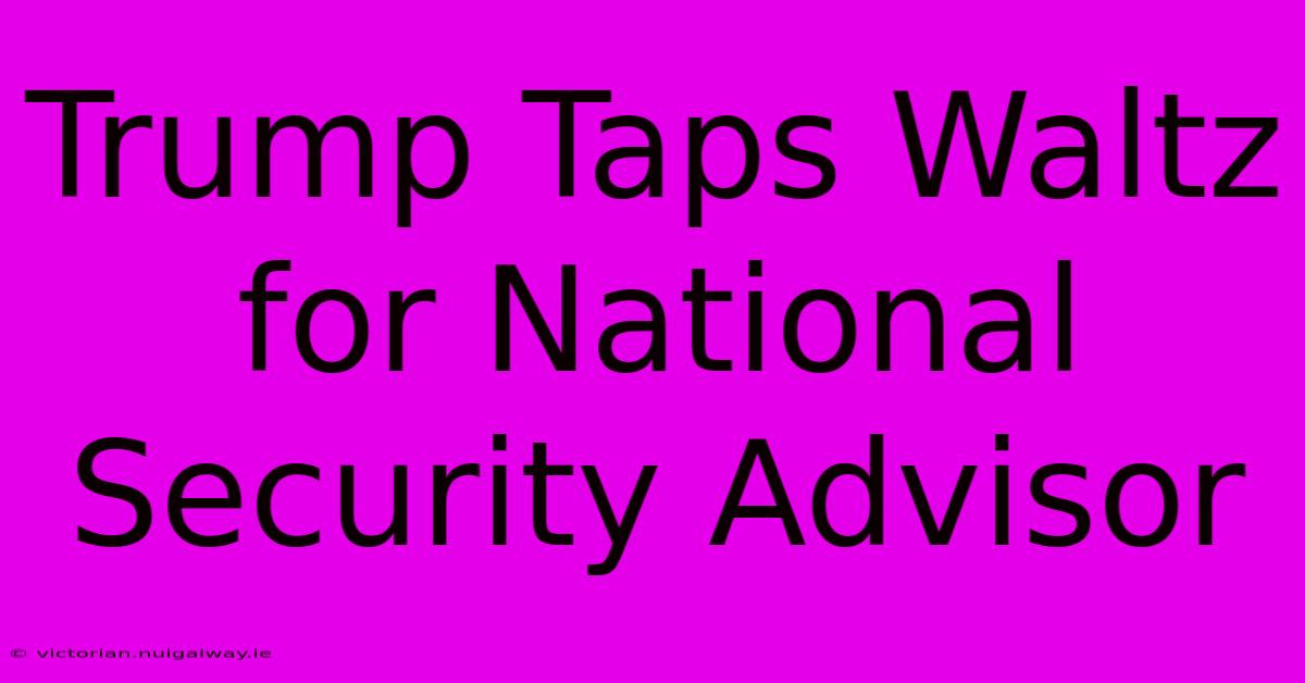 Trump Taps Waltz For National Security Advisor 