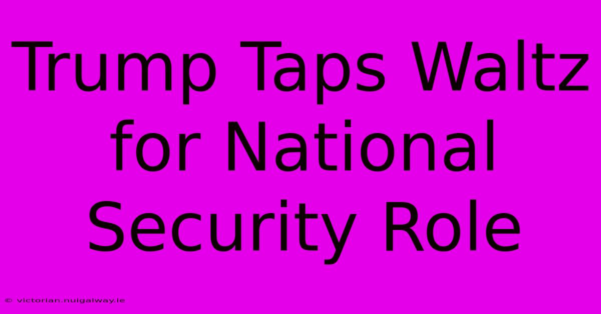 Trump Taps Waltz For National Security Role