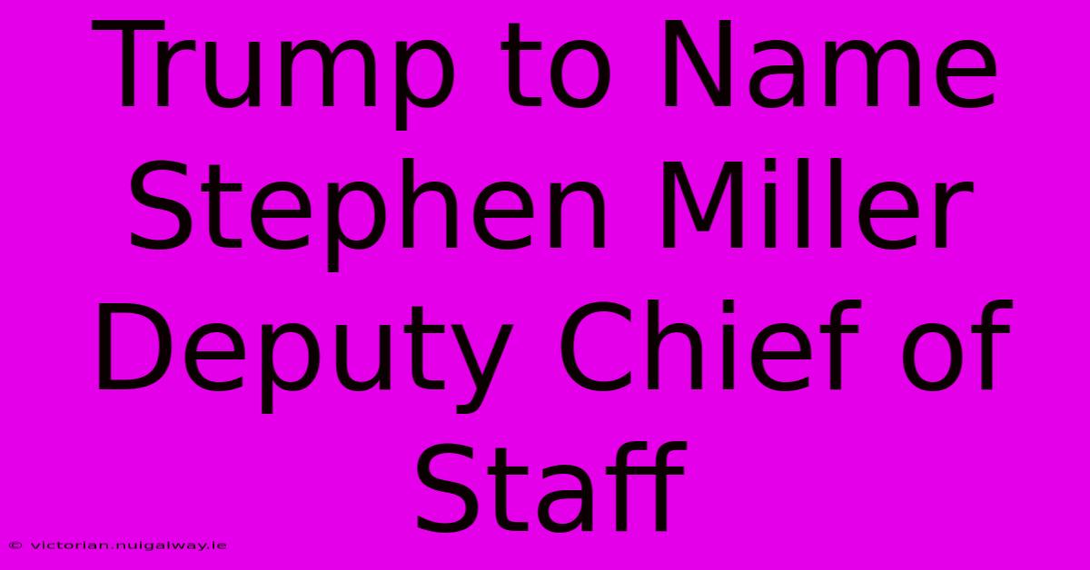 Trump To Name Stephen Miller Deputy Chief Of Staff