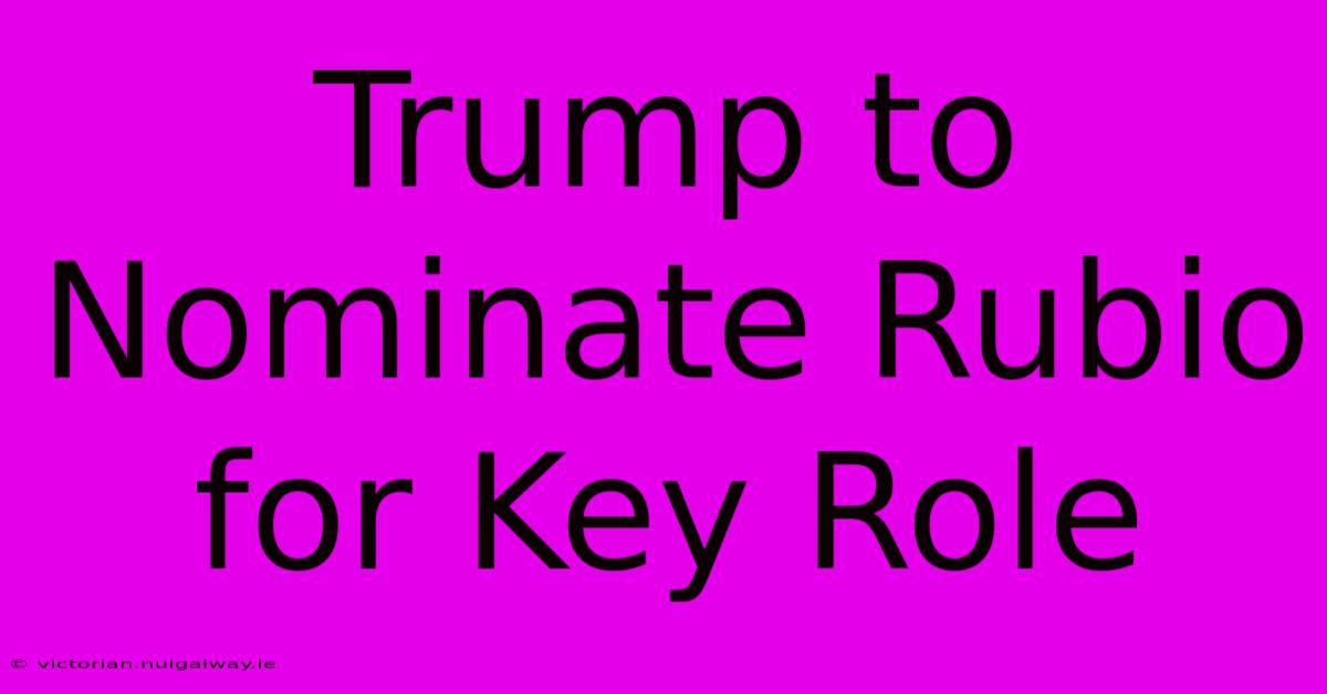 Trump To Nominate Rubio For Key Role 