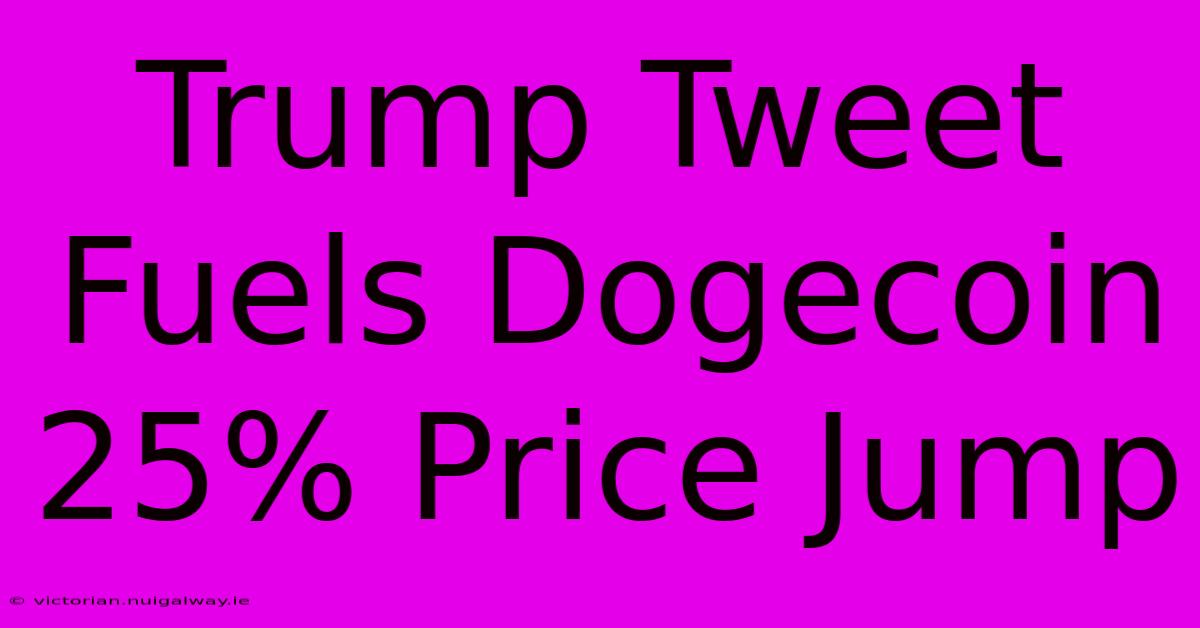 Trump Tweet Fuels Dogecoin 25% Price Jump