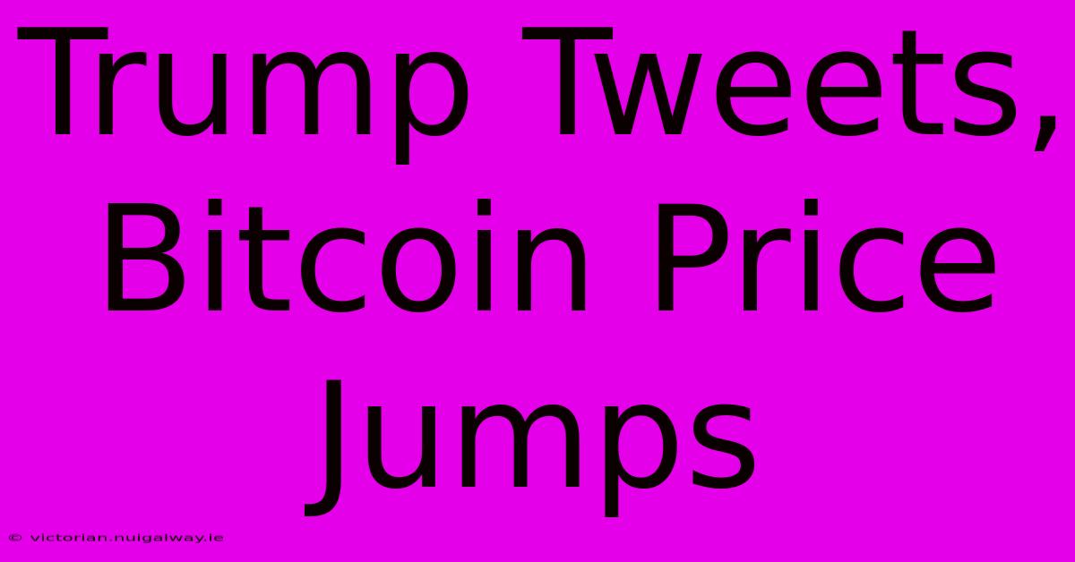 Trump Tweets, Bitcoin Price Jumps