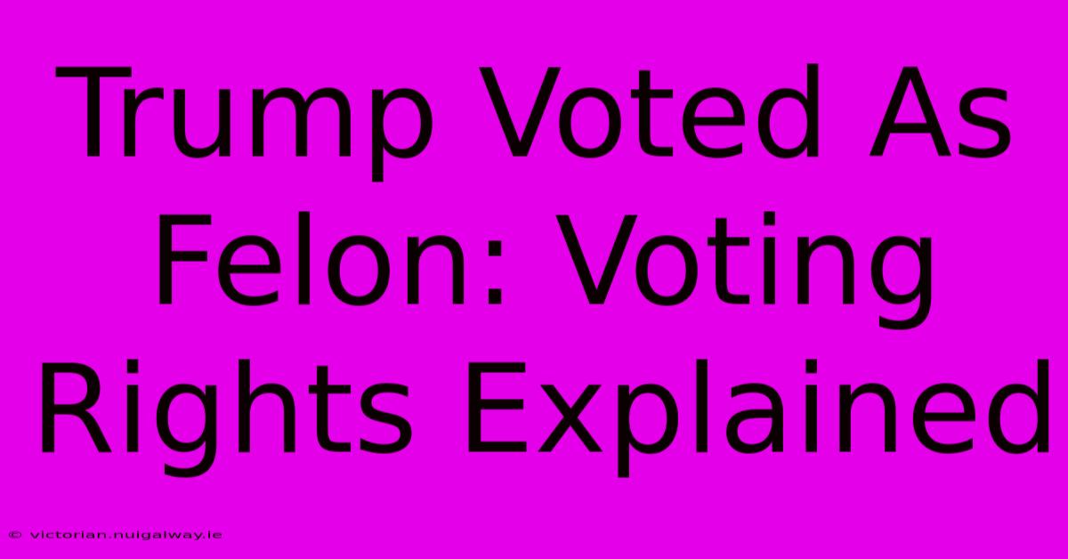 Trump Voted As Felon: Voting Rights Explained