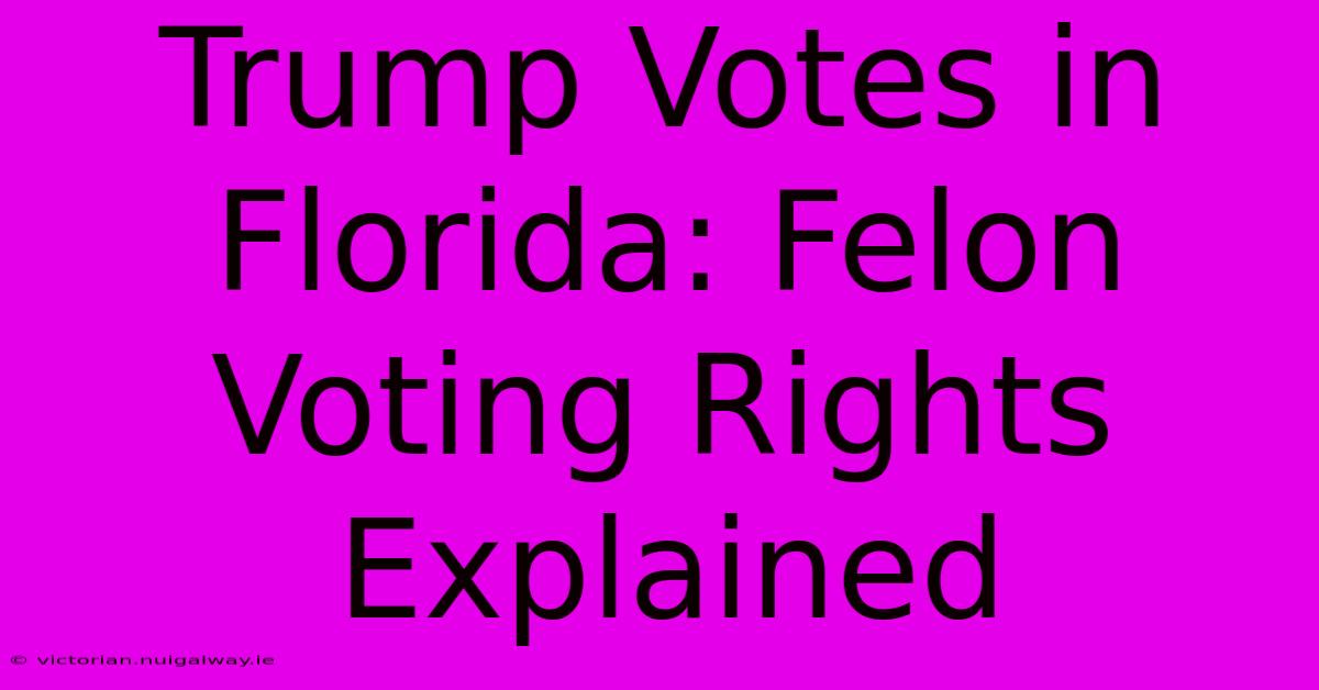 Trump Votes In Florida: Felon Voting Rights Explained