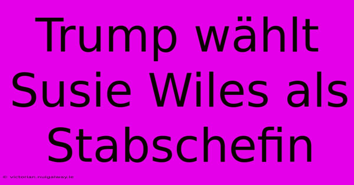 Trump Wählt Susie Wiles Als Stabschefin