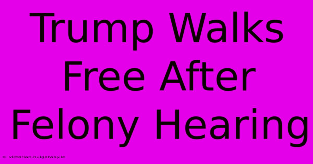 Trump Walks Free After Felony Hearing