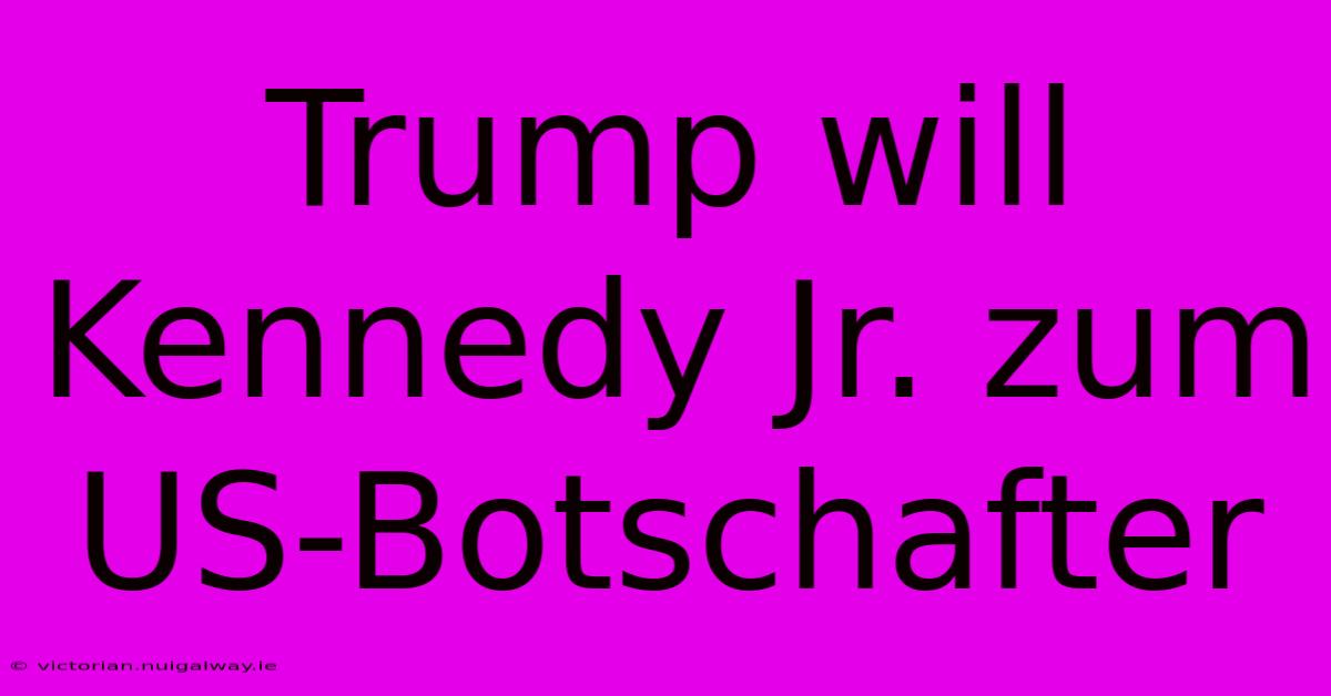 Trump Will Kennedy Jr. Zum US-Botschafter