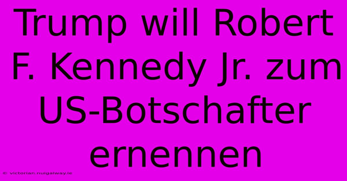 Trump Will Robert F. Kennedy Jr. Zum US-Botschafter Ernennen