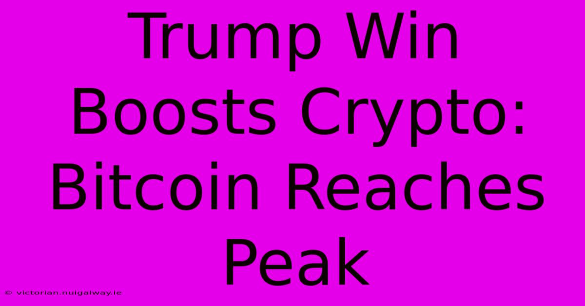 Trump Win Boosts Crypto: Bitcoin Reaches Peak