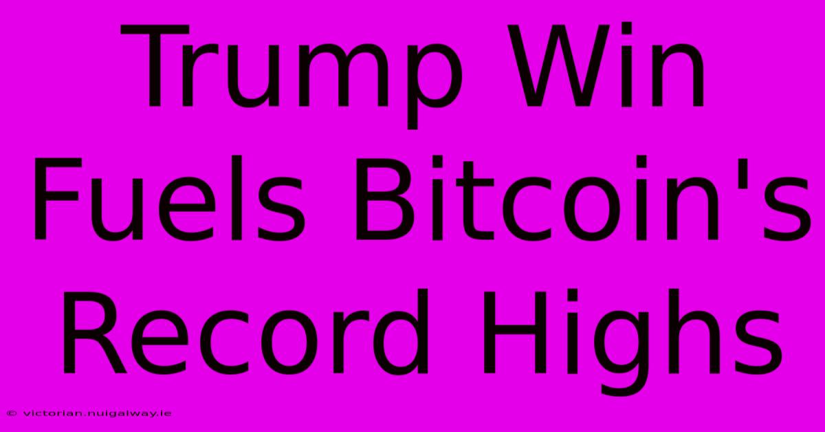 Trump Win Fuels Bitcoin's Record Highs