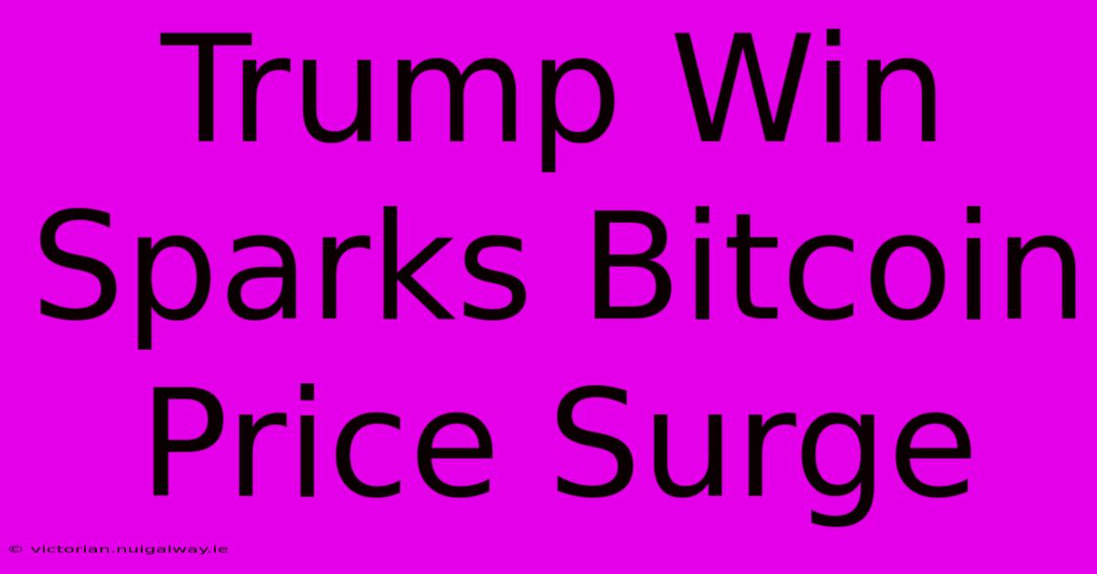 Trump Win Sparks Bitcoin Price Surge 