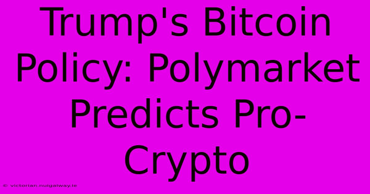 Trump's Bitcoin Policy: Polymarket Predicts Pro-Crypto