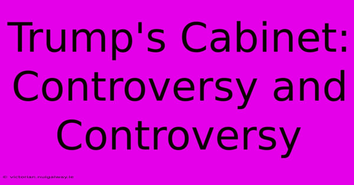 Trump's Cabinet: Controversy And Controversy 