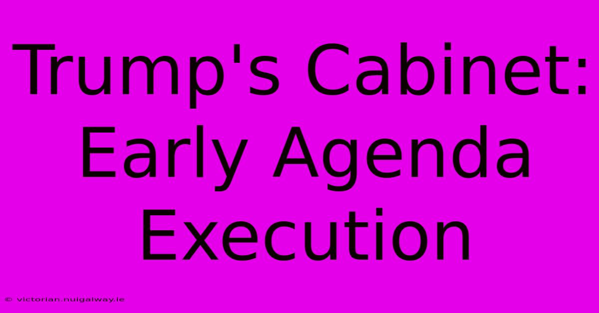 Trump's Cabinet: Early Agenda Execution 