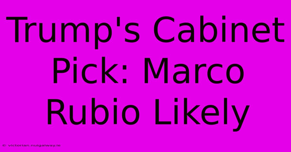 Trump's Cabinet Pick: Marco Rubio Likely 