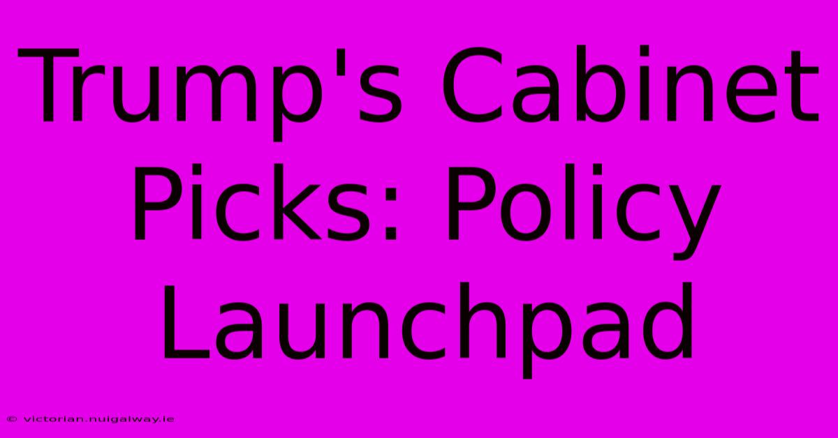 Trump's Cabinet Picks: Policy Launchpad