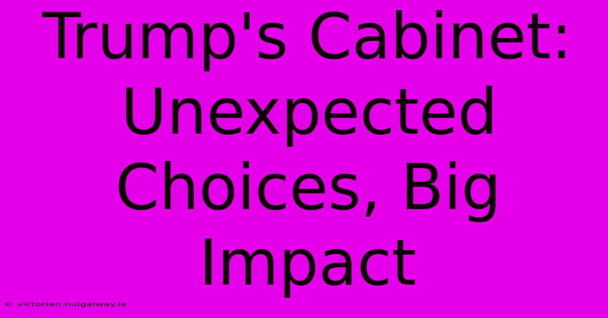 Trump's Cabinet: Unexpected Choices, Big Impact