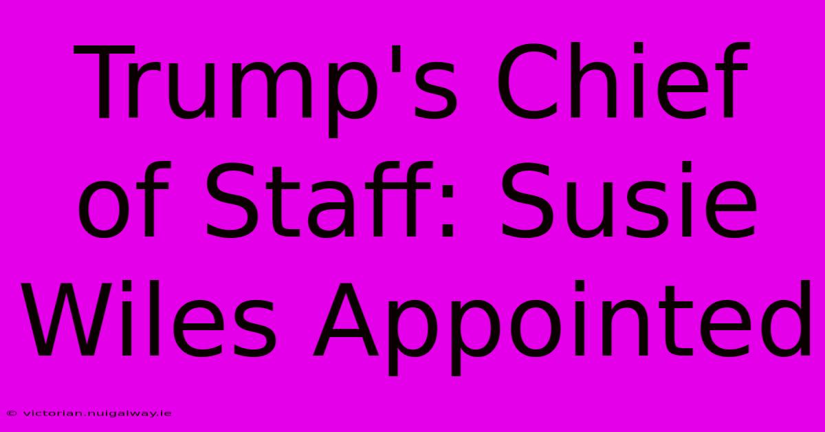 Trump's Chief Of Staff: Susie Wiles Appointed