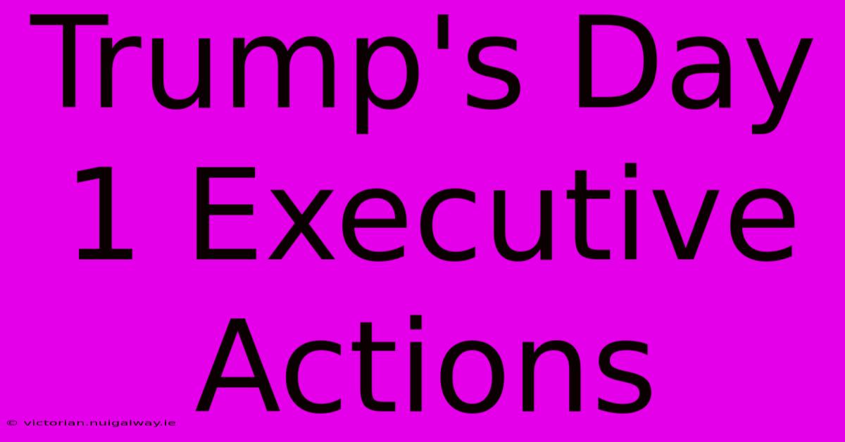 Trump's Day 1 Executive Actions