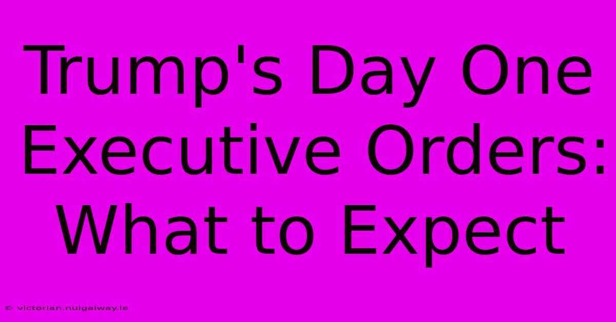 Trump's Day One Executive Orders: What To Expect