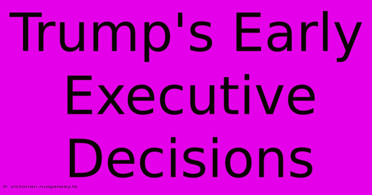 Trump's Early Executive Decisions